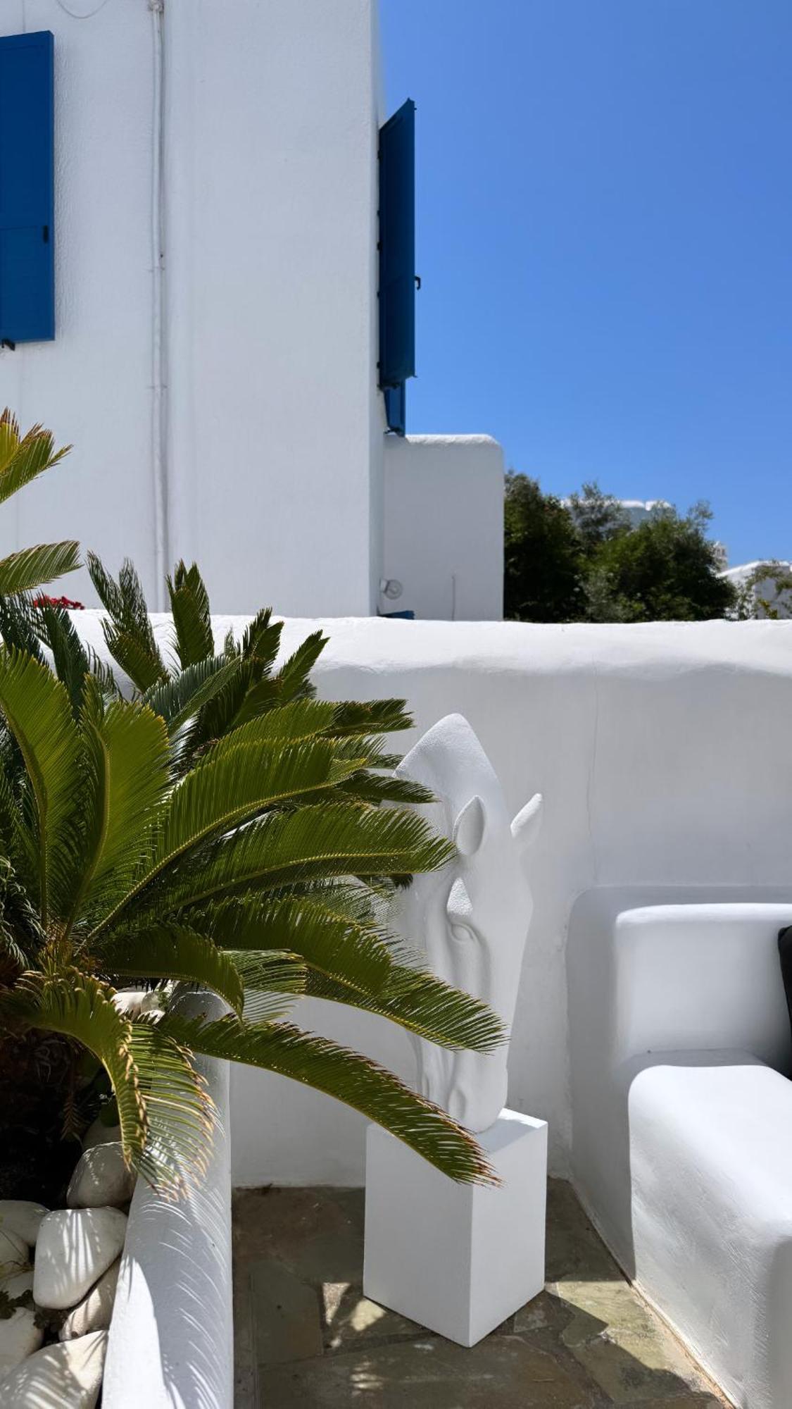 Appartamento Enso Mykonos Living Mykonos Town Esterno foto